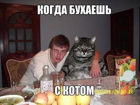 Ну... За кота