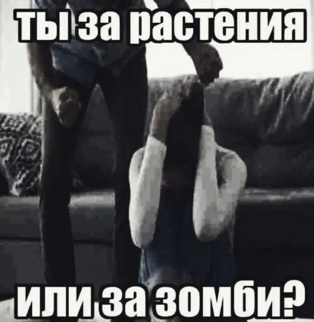 Расжижение мозга на ароматной поляне ополаскивателей для рта