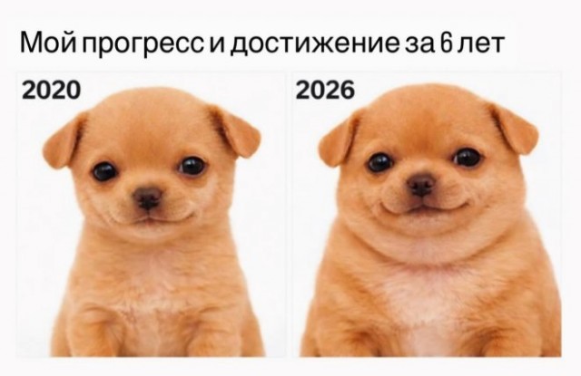 Картиночки, баянчики 10 февраля
