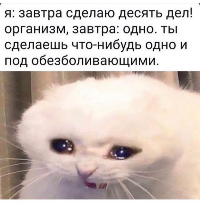 Картиночки, баянчики 01 марта