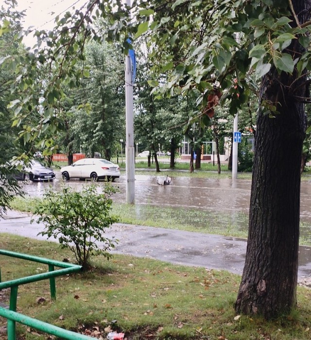 Мадам