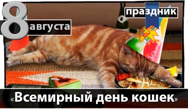Всемирный день котиков.
