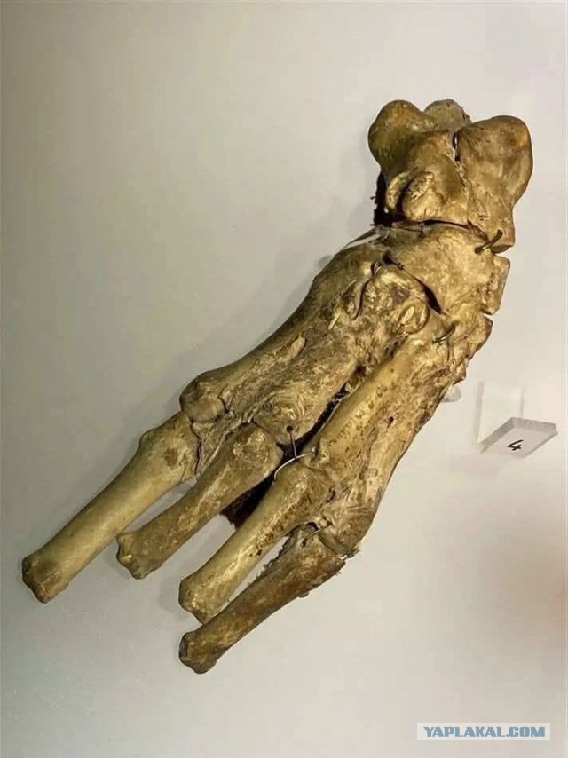 Ковчег для мощей.