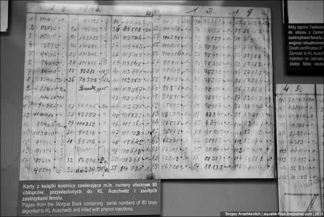 Аушвиц. Фабрика смерти 18+