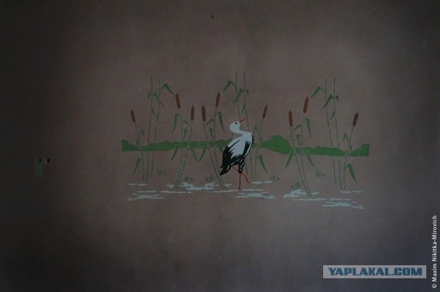 «Радиоактивный» санаторий под Минском.