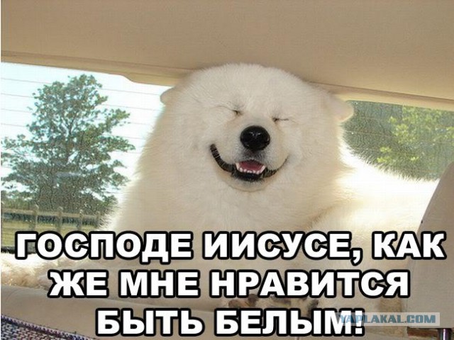 ЯПчане - поосторожнее в каментах