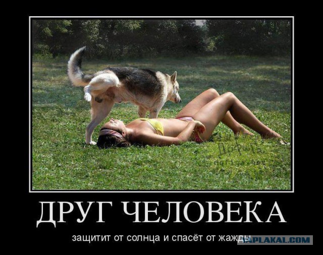 Картинки с инета.