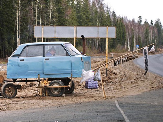 Весёлые картинки