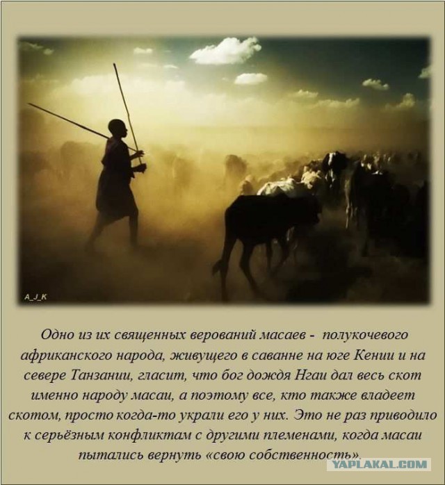 20 фактов обо всем