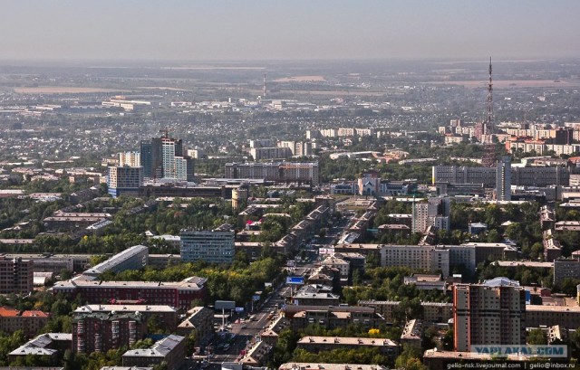 Когда деревья были большими