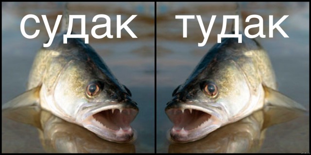 День Судака, или как мы с пельменной иглы слазили