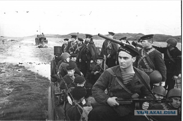 Фотографы войны. Северный флот