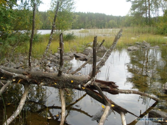 Небольшая дверь в Лето!