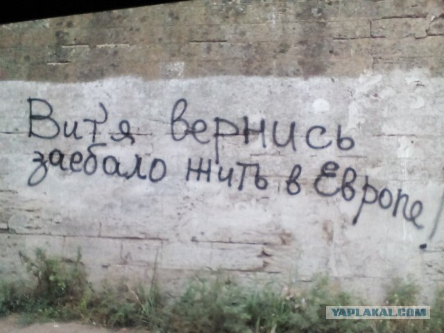 10 политических картинок часть 5