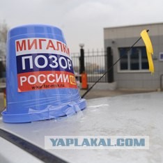 «Синие ведерки» уберут с улиц
