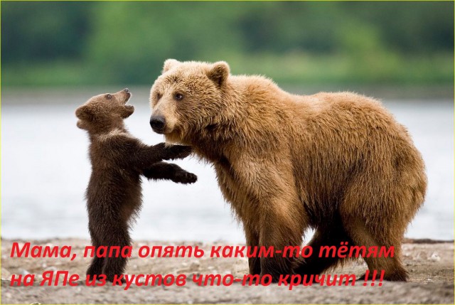 Комиксы про ЯП