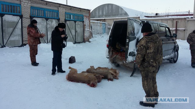 Казахстанский полицейский - браконьер