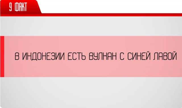 25 неожиданных фактов о нашей жизни