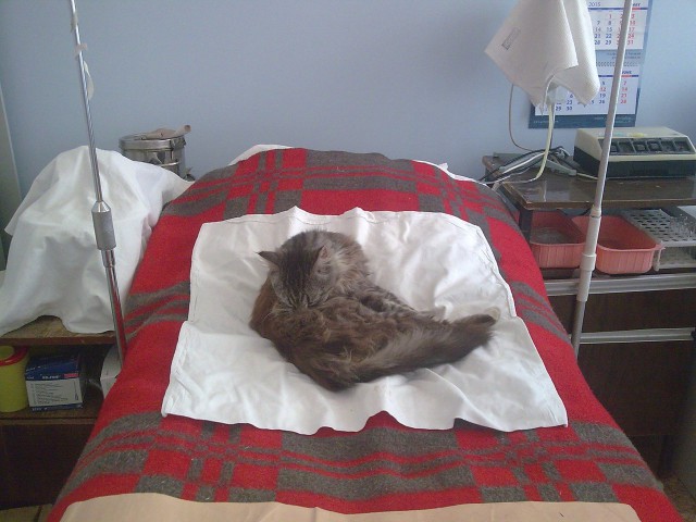 Истории от врачей - 74