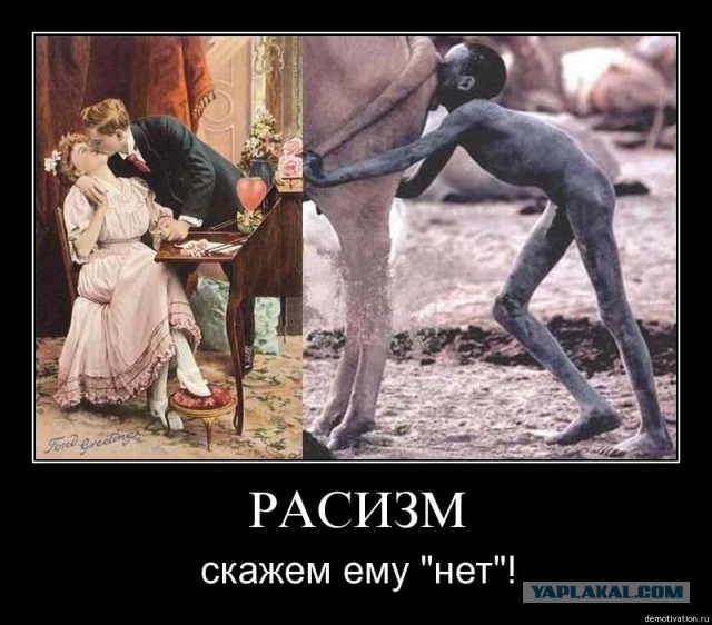 Шуточки от весёлого повара