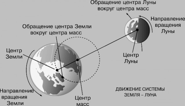 Новая теория эволюции