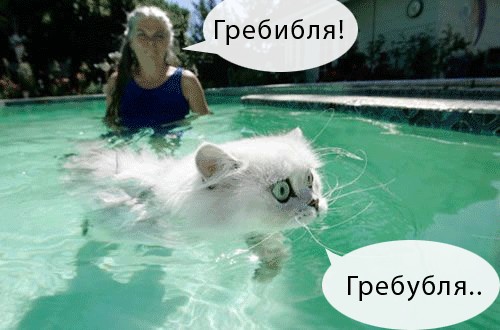 Фотожаба: Офигевший пловец