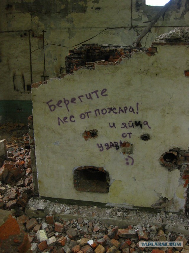 Весёлые картинки