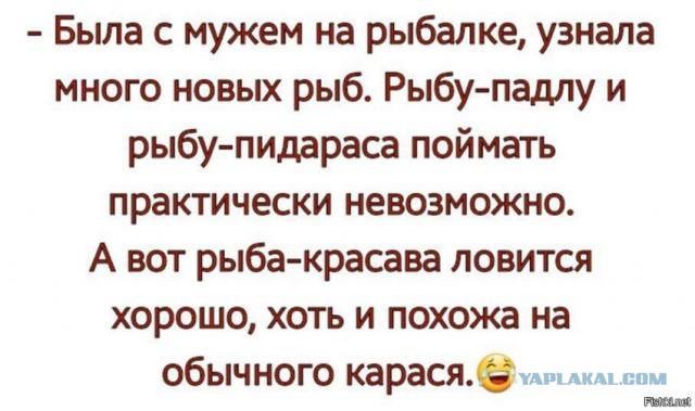 В преддверии упоротой пятницы