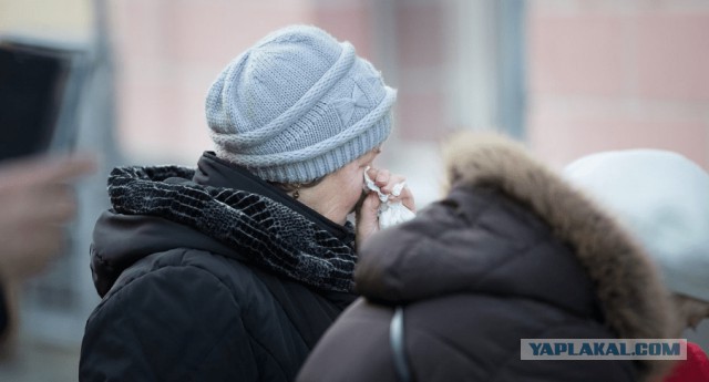 Скорбим вместе с вами — Посольство РФ в Таллине