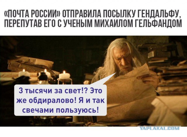 Подборка интересных и веселых картинок