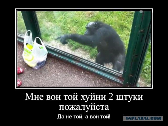 Ты не ты, когда мучает жажда