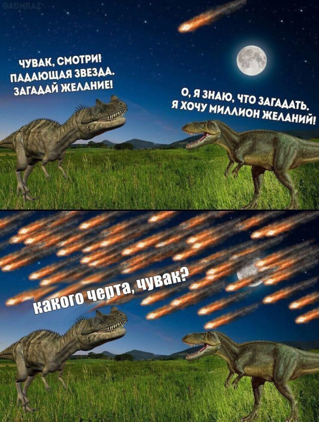Подборка интересных и веселых картинок