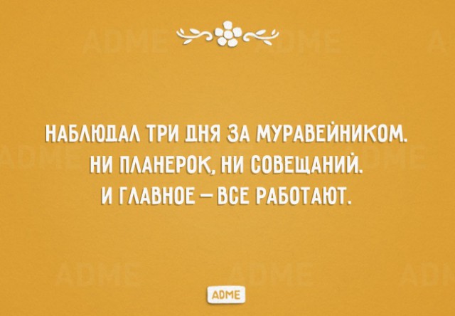 Прикольные открытки для любителей сарказма
