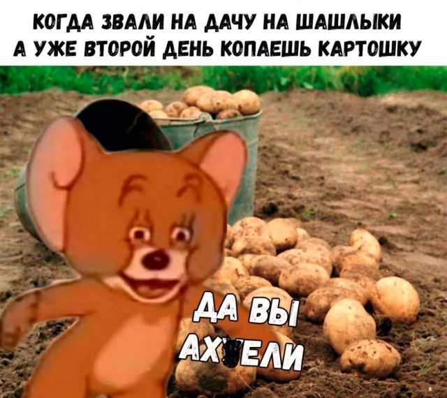 Подборка разного из сети
