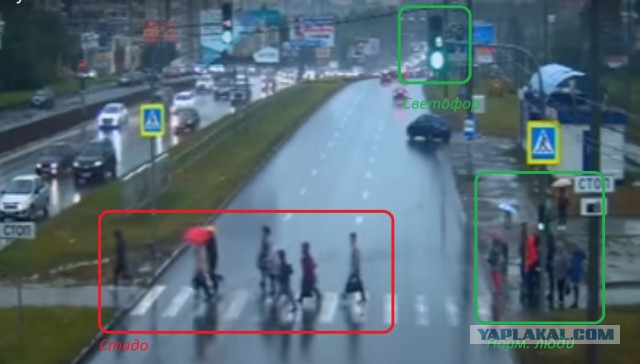 Пешеход все равно - прав.