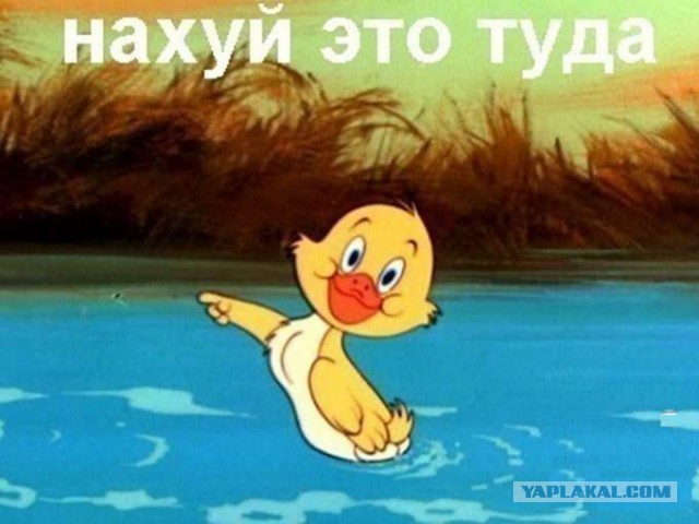 "Я просто *ухи поел* от увиденного"