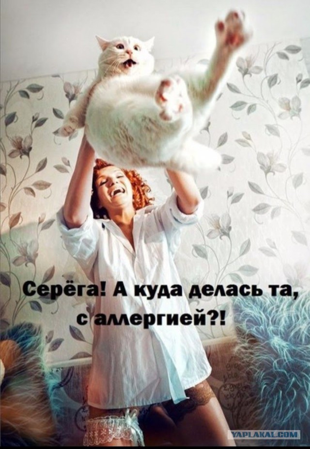 Фотовитамины