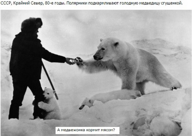 Картинки по-приколу