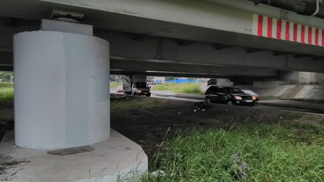 Дураков у нас на сто лет припасено