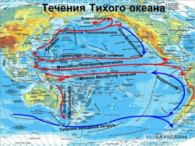 Япония отвергла предложение Путина о мире