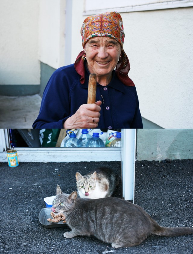 Накорми бездомного кота