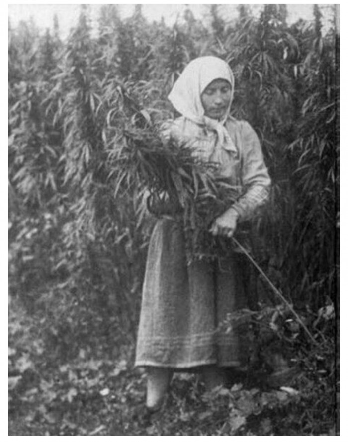 Интересные и редкие фотографии