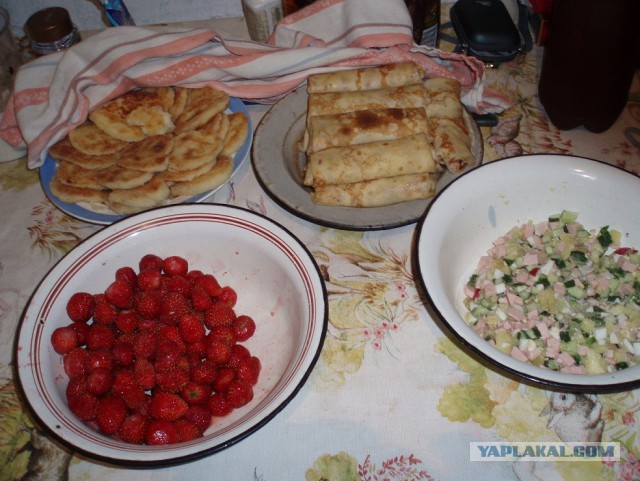 Каникулы в деревне
