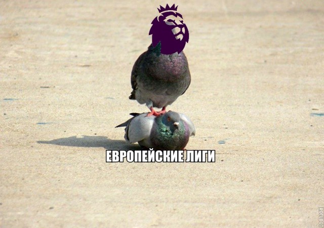 Чемпионат России по футболу 2018-2019( часть X)