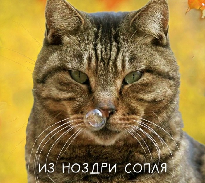 Фотоподброка на воскресенье 03.11.2019