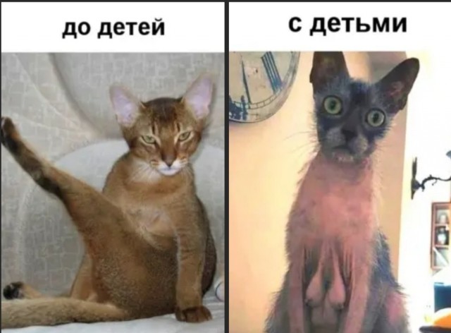 В Италии открываются приюты для разведенных мужчин