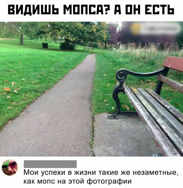 Поднакопилось чутка картинок и надписей
