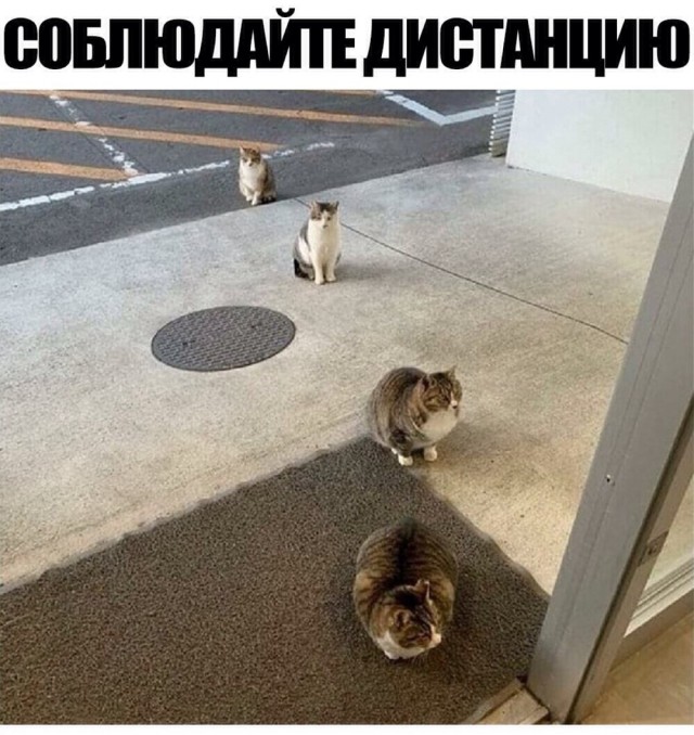 Чуток картинок. Субботний выпуск