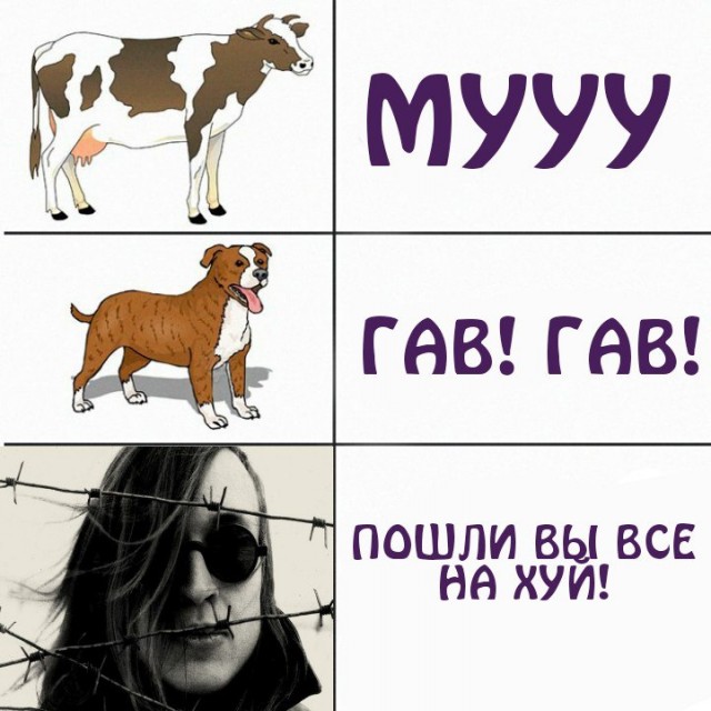 Здорово и Вечно
