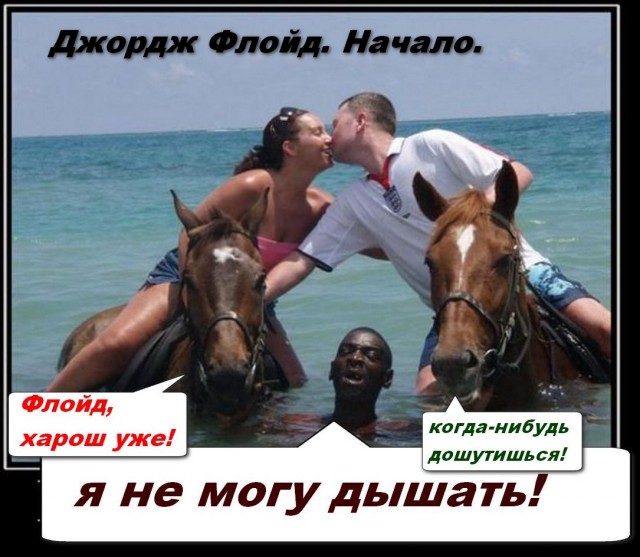 Вот бы эта фотка завирусилась, я бы почитал срач